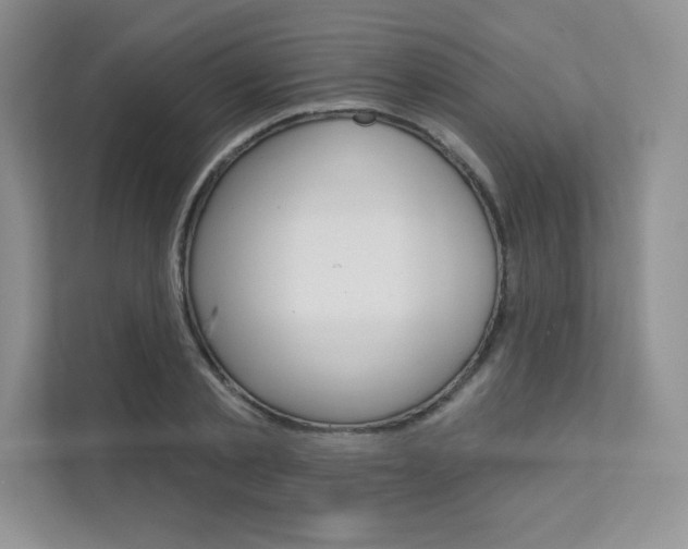 X0000112180789200908070939