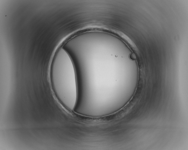 X0000112180791200908070939