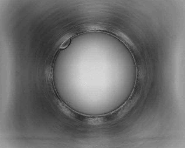 X0000112180793200908070939