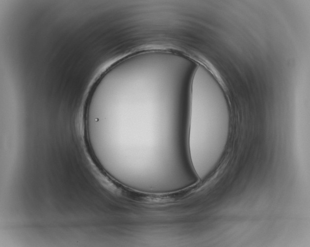 X0000112180795200908070939