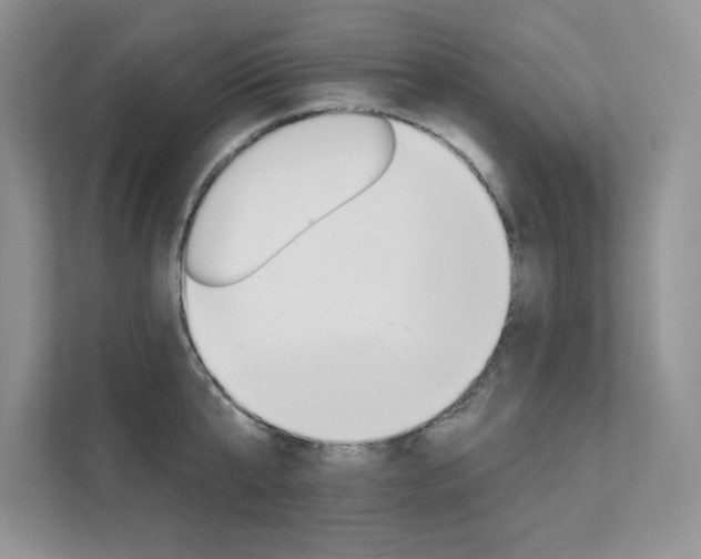 X0000112180807200908070939