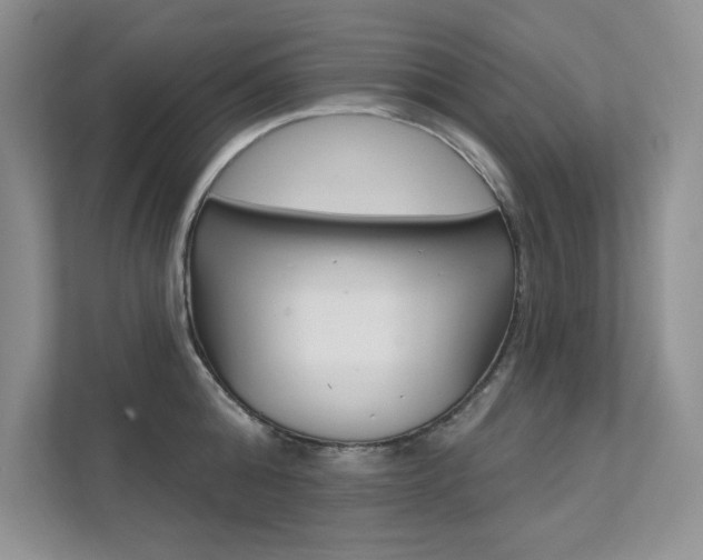 X0000112180808200908070939