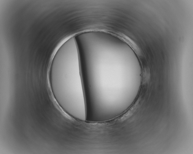 X0000112180812200908070939