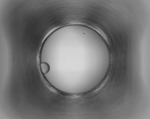 X0000112180814200908070939