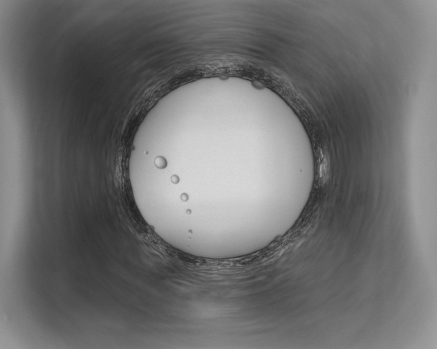 X0000112180819200908070938
