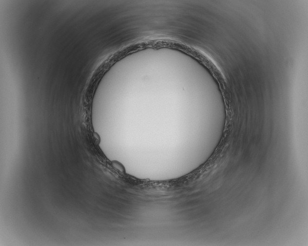 X0000112180823200908070938