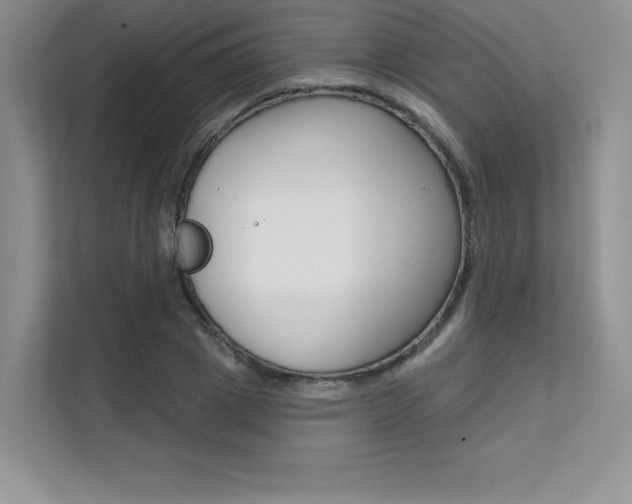 X0000112180833200908070938