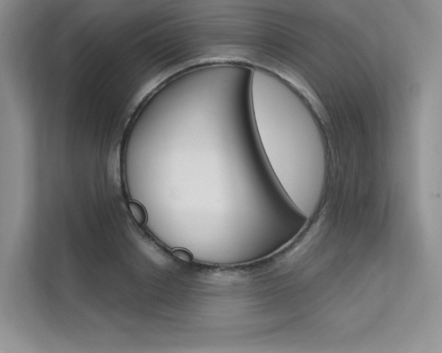 X0000112180842200908070939