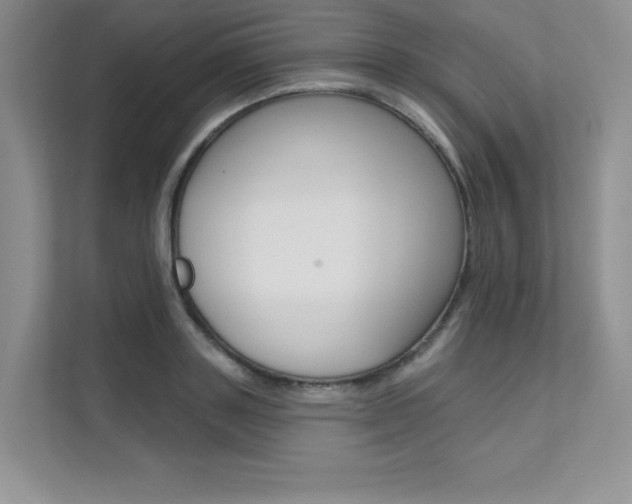 X0000112180843200908070939