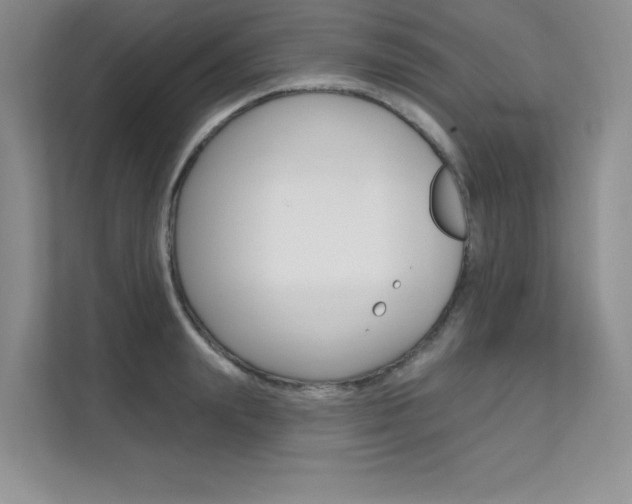 X0000112180847200908070939