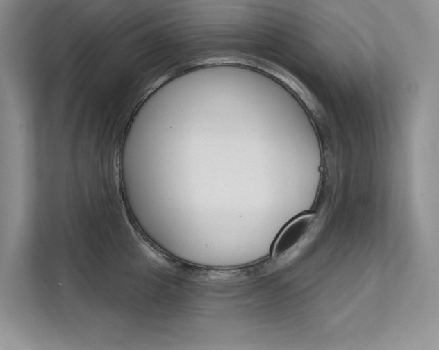 X0000112180857200908070939