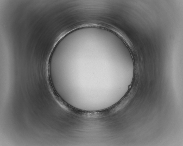X0000112180858200908070939