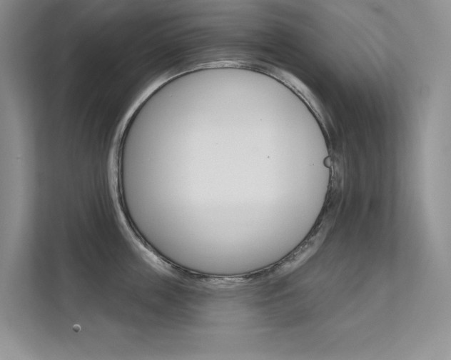 X0000112180859200908070939