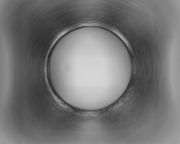 X0000112180861200908070939