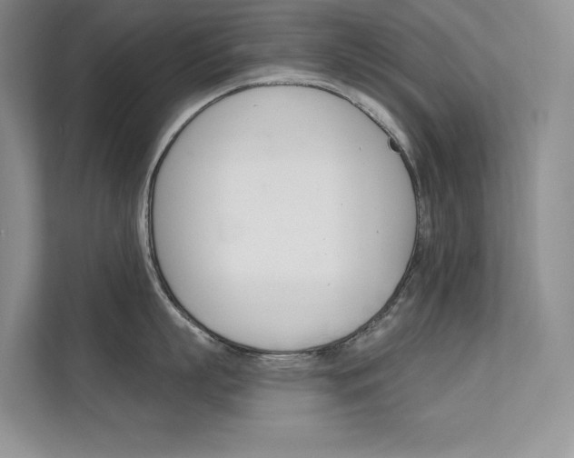X0000112180863200908070939