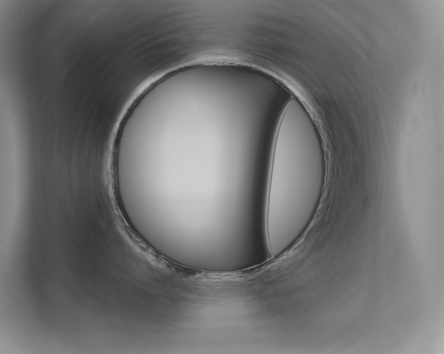 X0000112180864200908070939