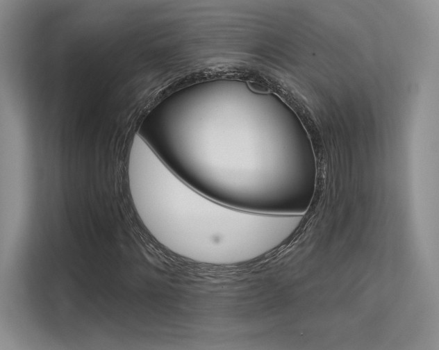 X0000112180868200908070938