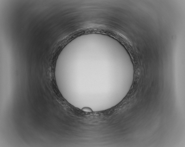 X0000112180869200908070938