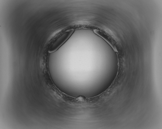 X0000112180872200908070938