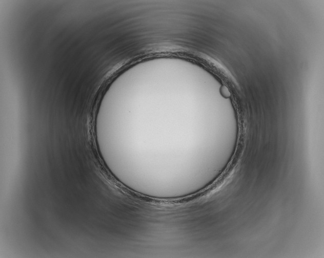 X0000112180873200908070938