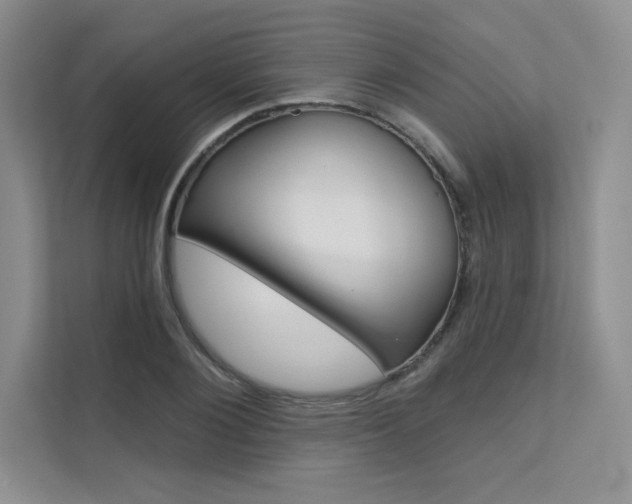 X0000112180884200908070938