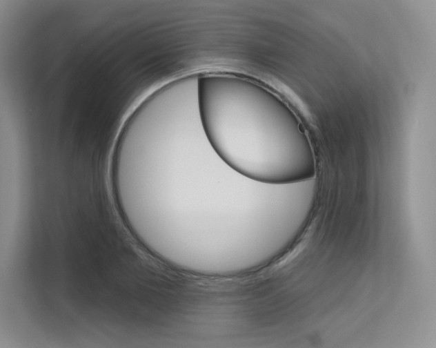 X0000112180885200908070938