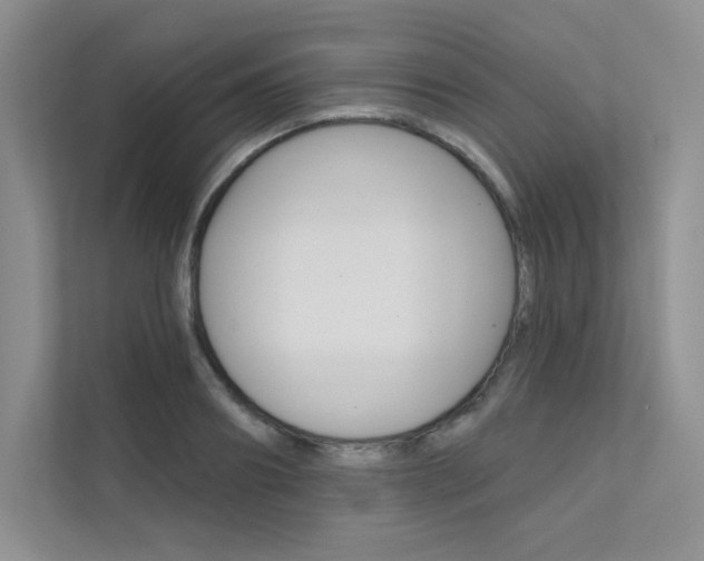 X0000112180890200908070938