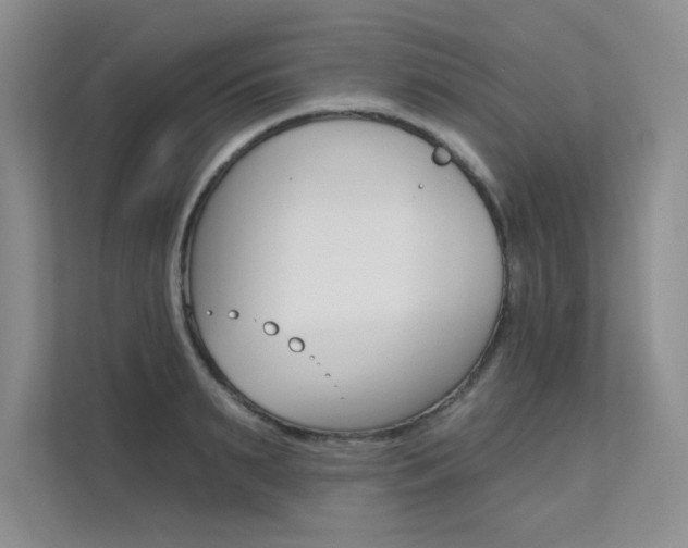 X0000112180895200908070938