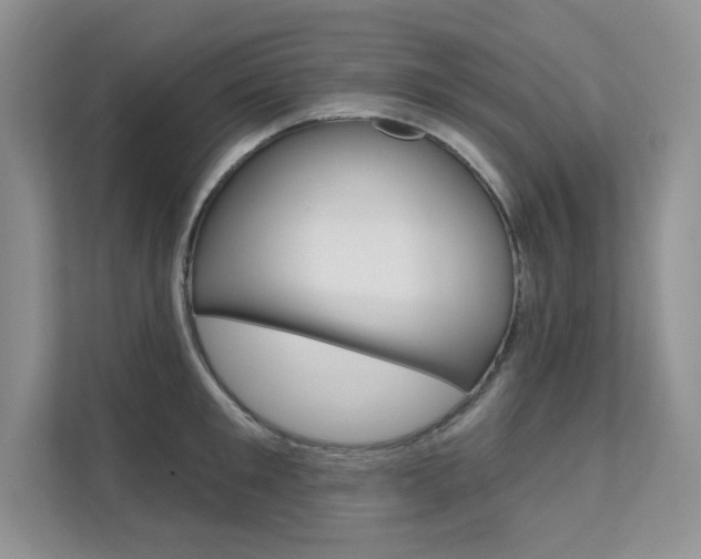 X0000112180901200908070938