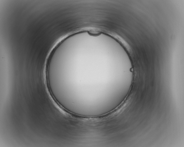 X0000112180902200908070938