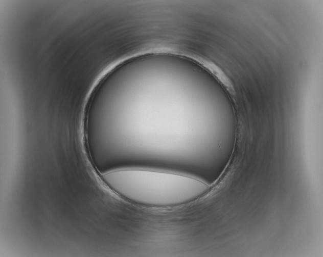 X0000112180904200908070938
