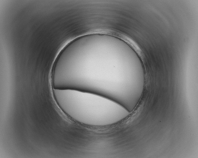 X0000112180907200908070938