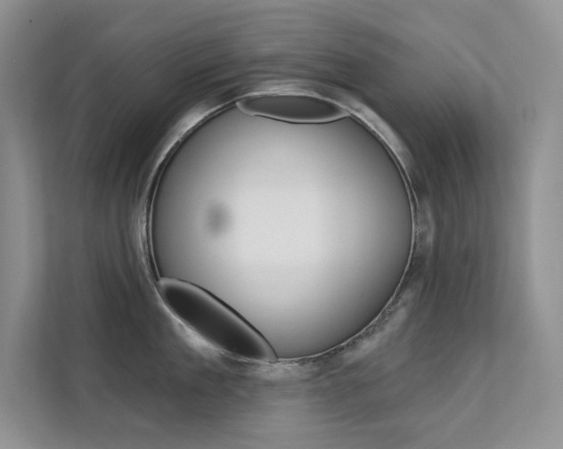 X0000112180909200908070938