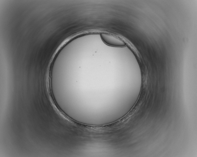 X0000112180911200908070938