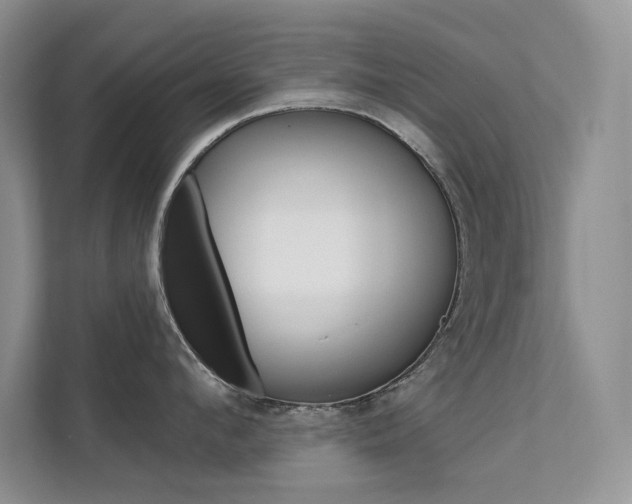 X0000112180912200908070938