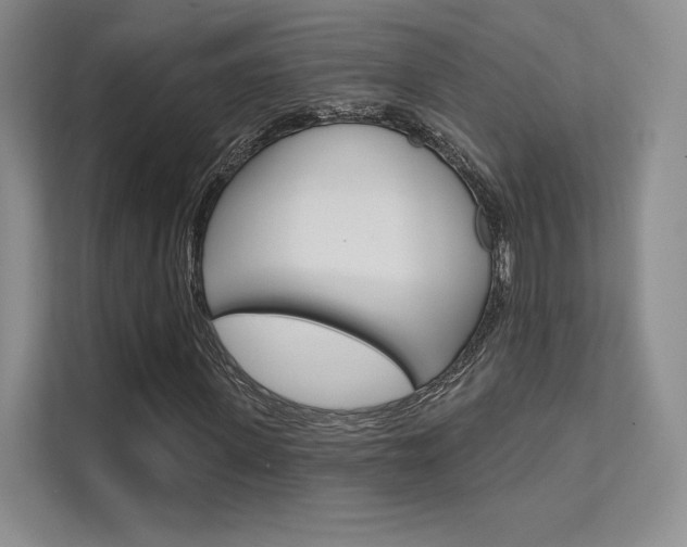 X0000112180915200908070937