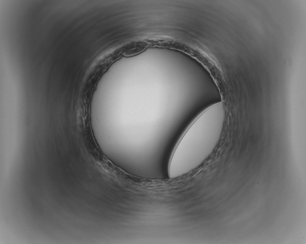 X0000112180920200908070937