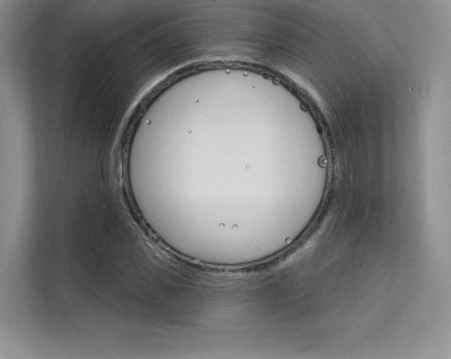 X0000112180925200908070937