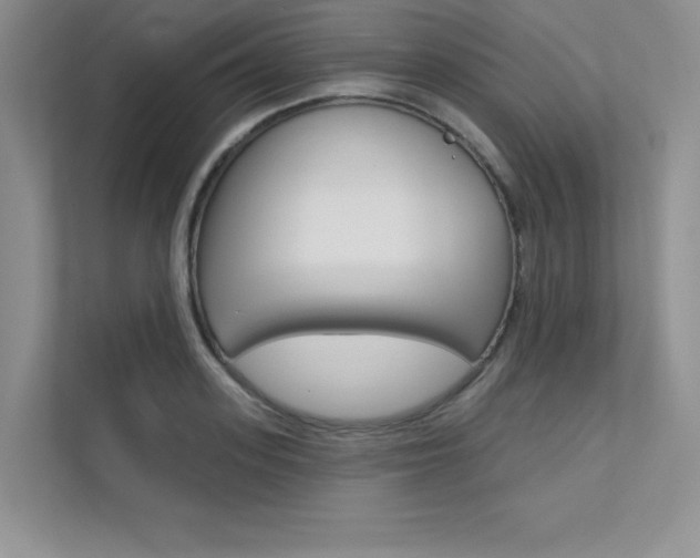 X0000112180939200908070937