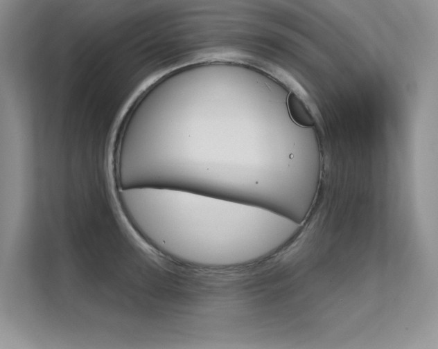 X0000112180947200908070937