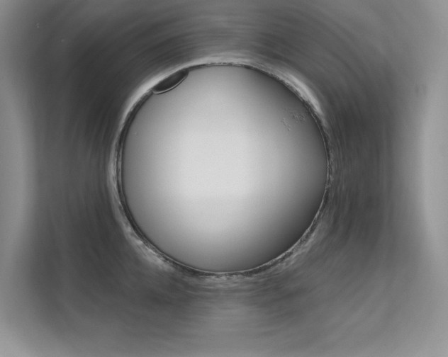 X0000112180952200908070938