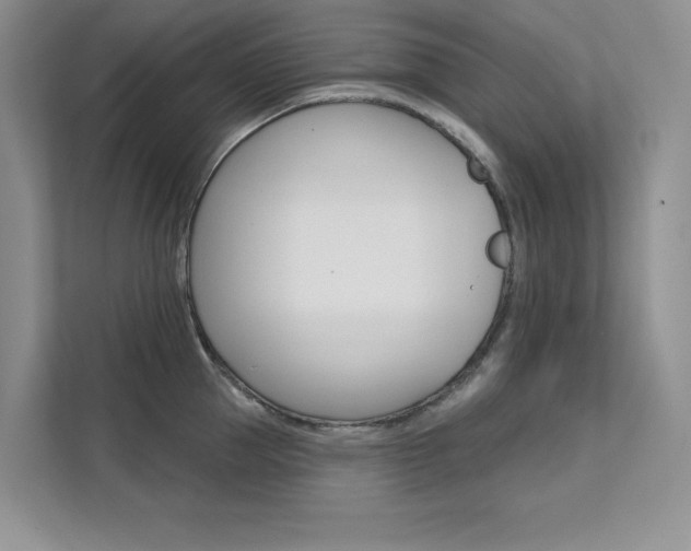 X0000112180953200908070938
