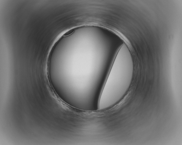 X0000112180956200908070938