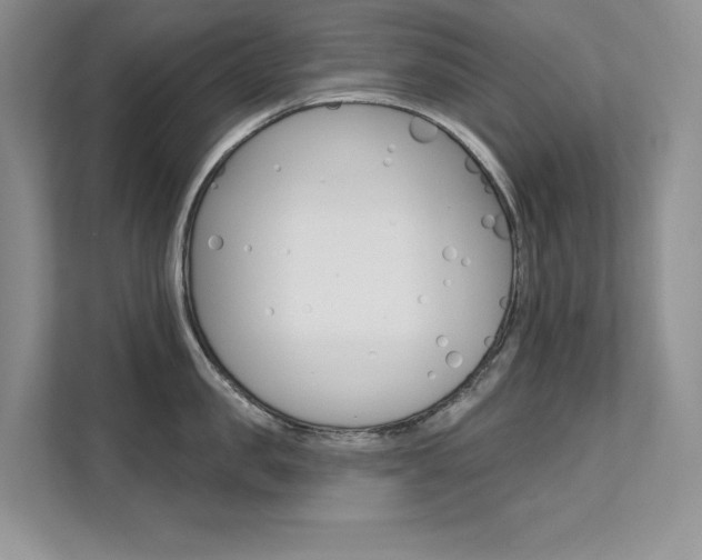 X0000112180957200908070938