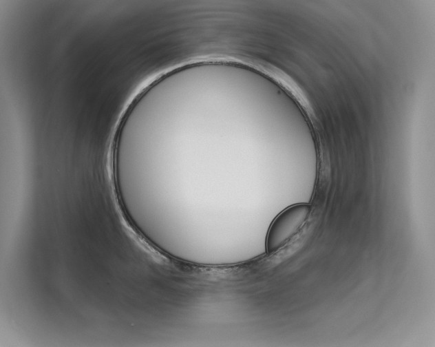 X0000112180958200908070938