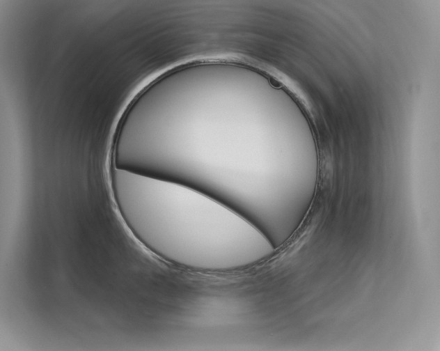 X0000112180959200908070938