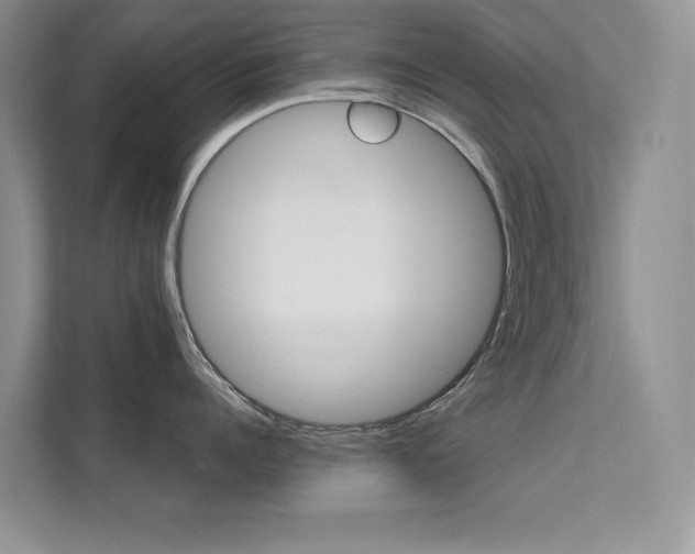 X0000112180960200908070938
