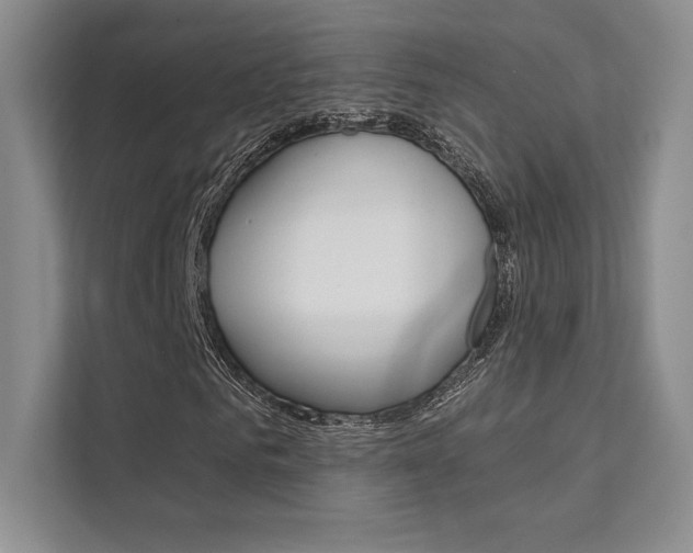 X0000112180961200908070937