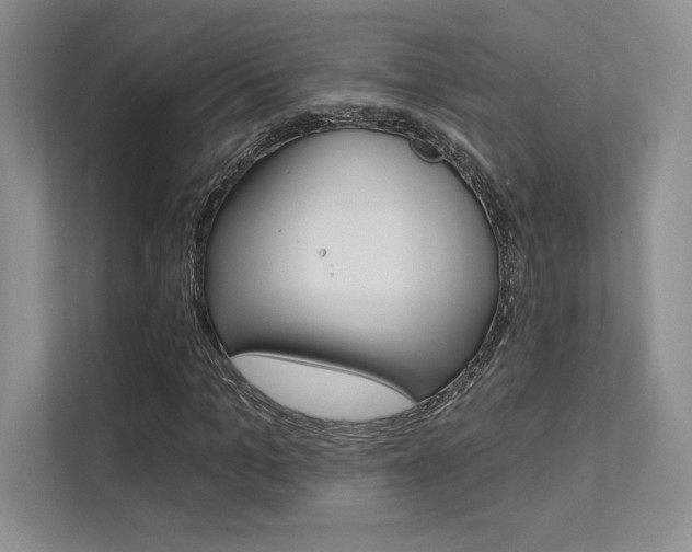 X0000112180965200908070937