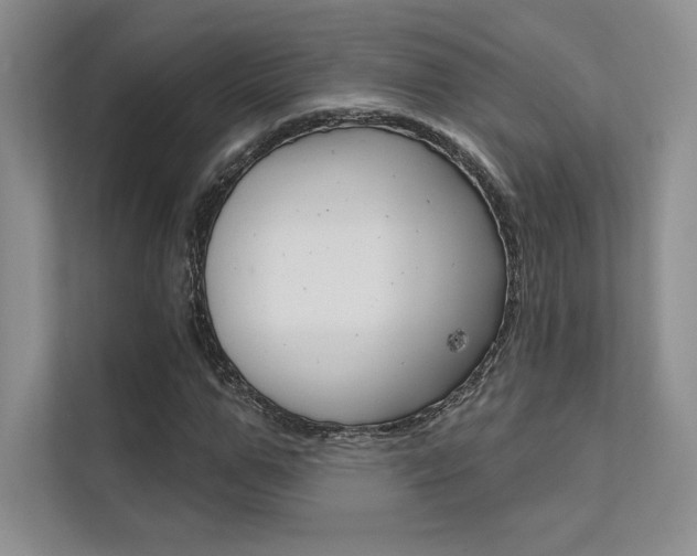 X0000112180967200908070937